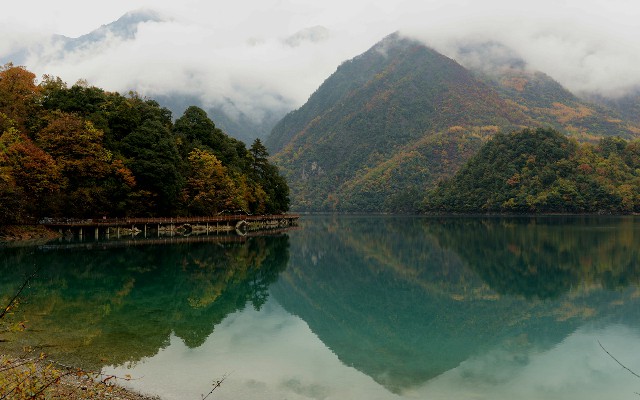 拼多多补单软件