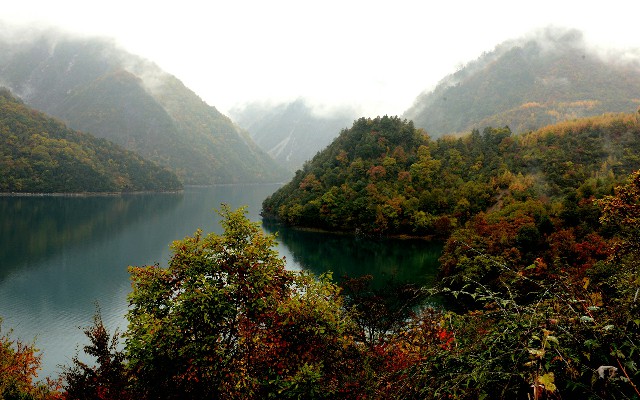 拼多多补单软件