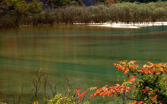 拼多多补单软件