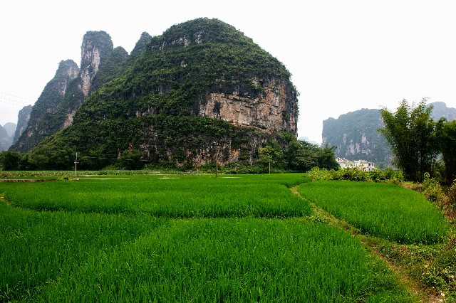 拼多多补单软件