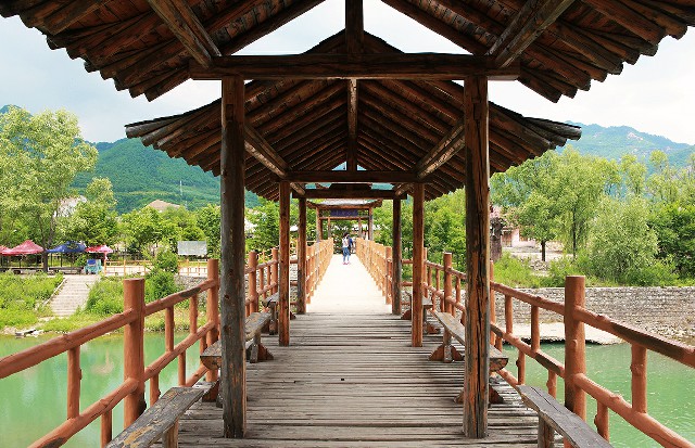 拼多多补单软件