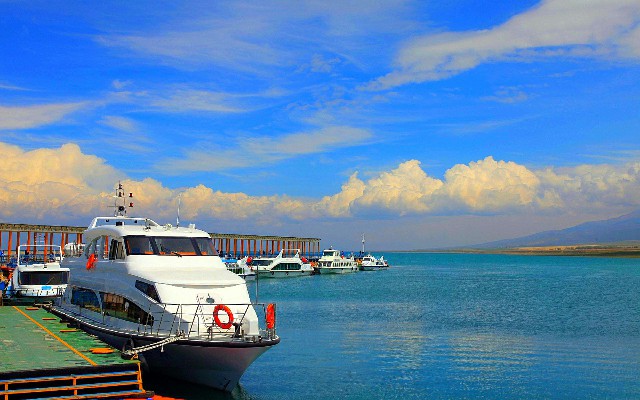 拼多多补单软件