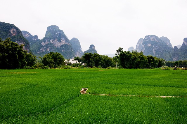 拼多多补单软件