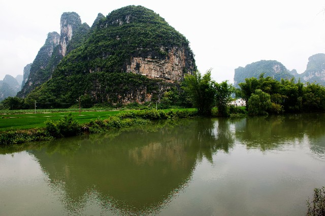 拼多多补单软件