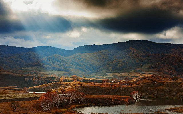 拼多多补单软件