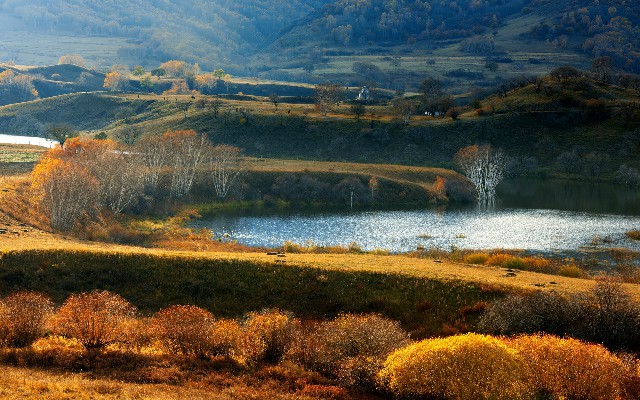 拼多多补单软件