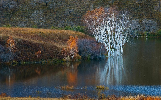 拼多多补单软件