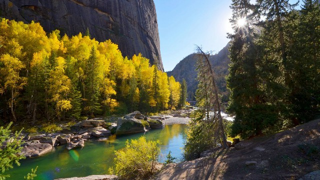 拼多多补单软件