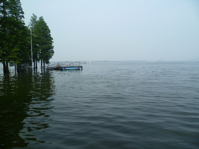 拼多多补单软件