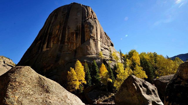 拼多多补单软件