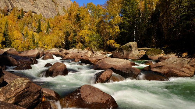 拼多多补单软件