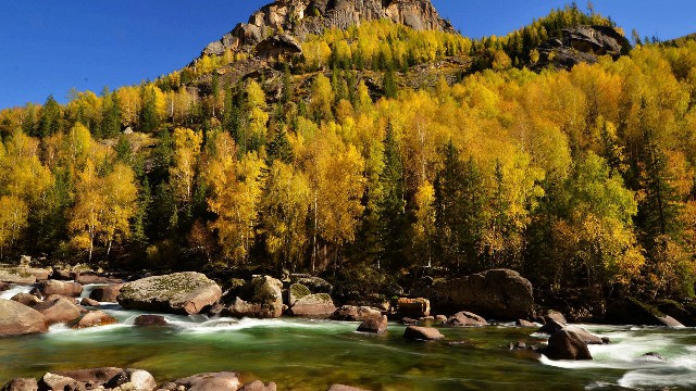 拼多多补单软件