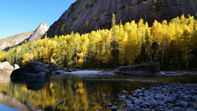 拼多多补单软件