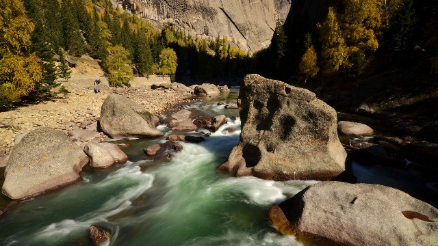 拼多多补单软件