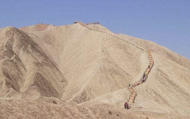 拼多多补单软件