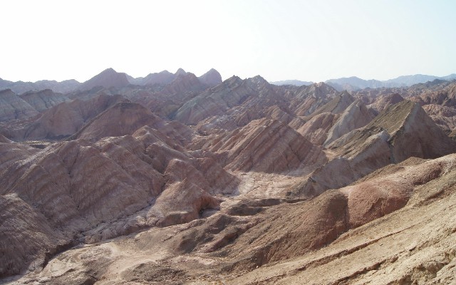 拼多多补单软件