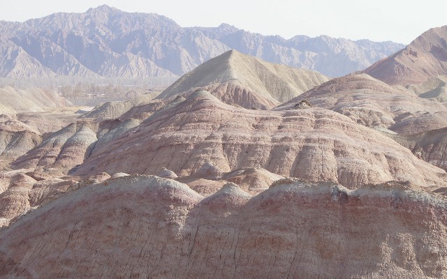 拼多多补单软件