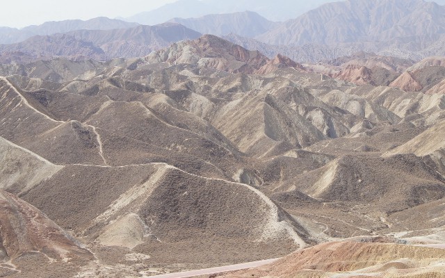 拼多多补单软件