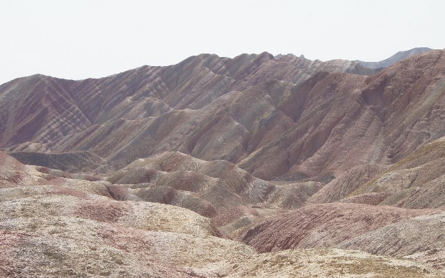 拼多多补单软件