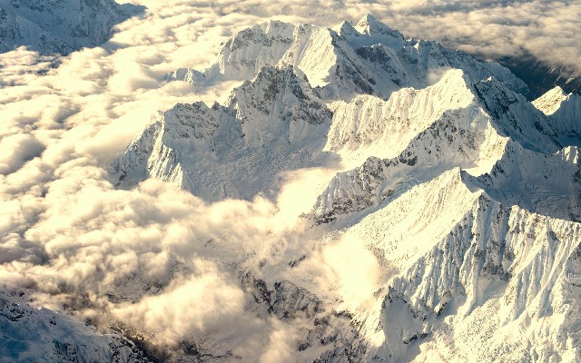 拼多多补单软件