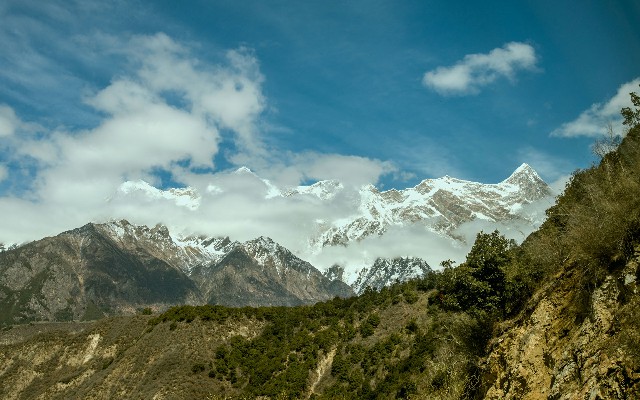 拼多多补单软件