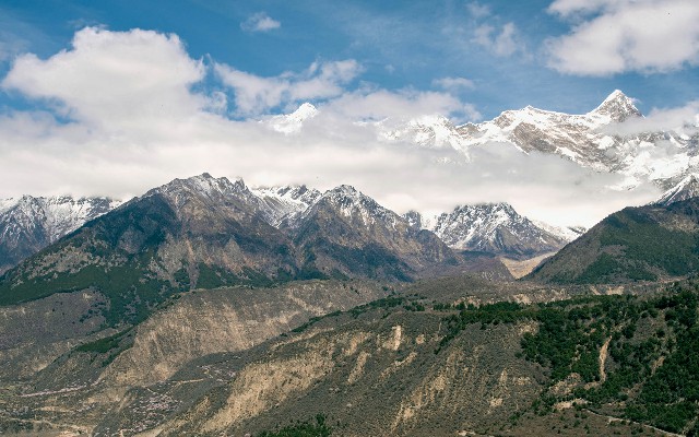 拼多多补单软件