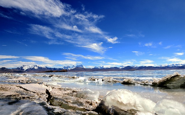 拼多多补单软件