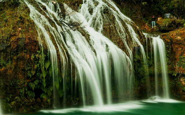 拼多多补单软件