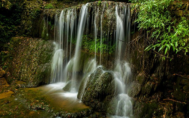 拼多多补单软件