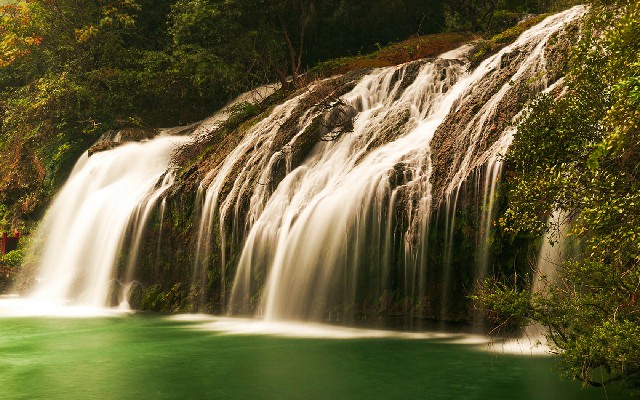 拼多多补单软件