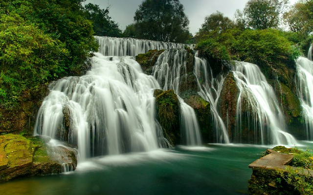 拼多多补单软件