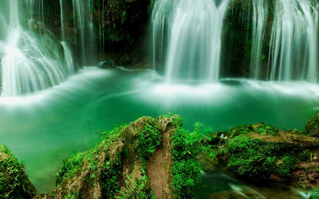 拼多多补单软件