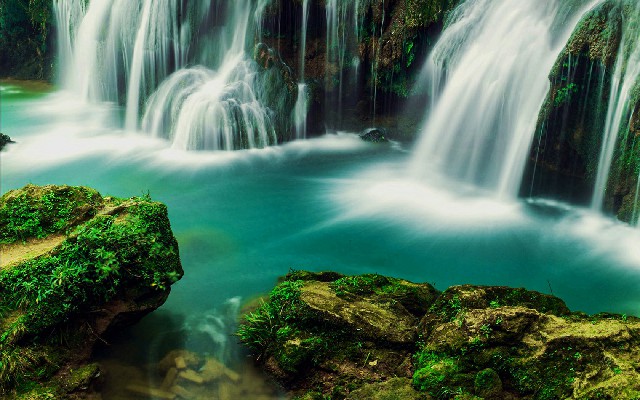 拼多多补单软件