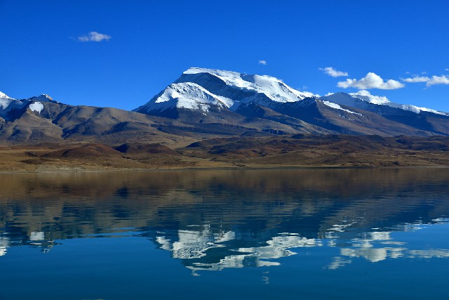 拼多多补单软件