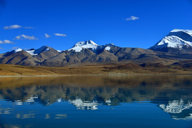 拼多多补单软件