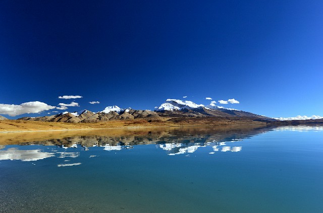 拼多多补单软件