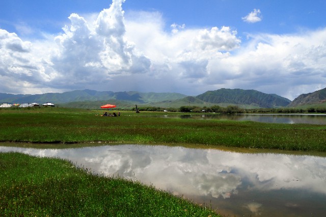 拼多多补单软件