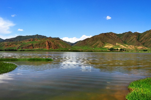 拼多多补单软件