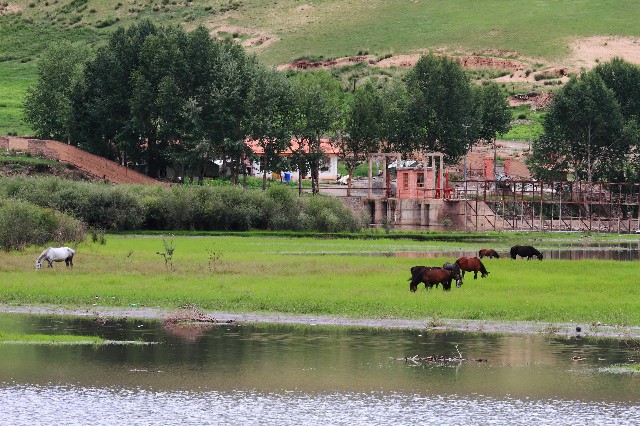 拼多多补单软件