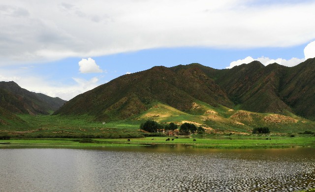 拼多多补单软件