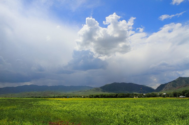拼多多补单软件