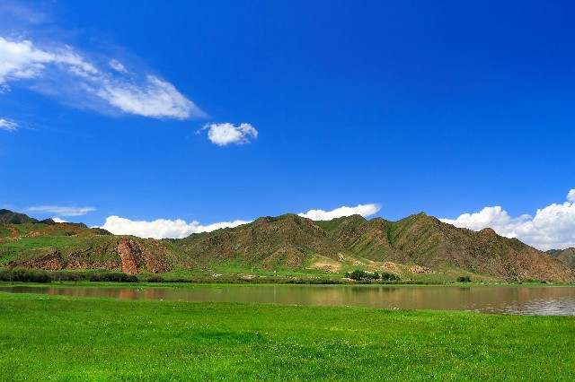 拼多多补单软件