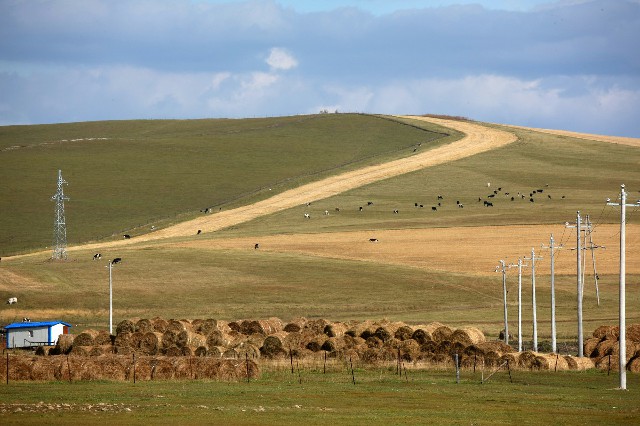 拼多多补单软件