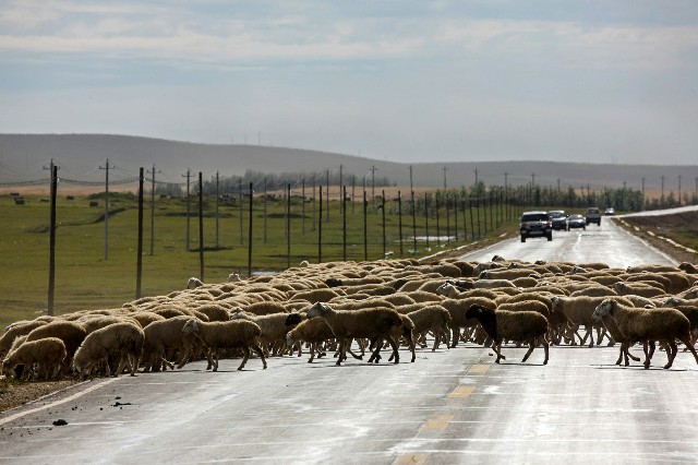 拼多多补单软件