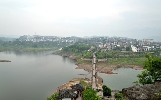 拼多多补单软件