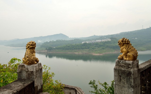 拼多多补单软件