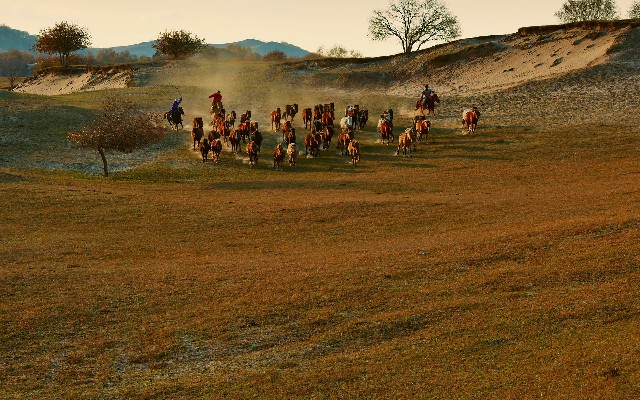 拼多多补单软件