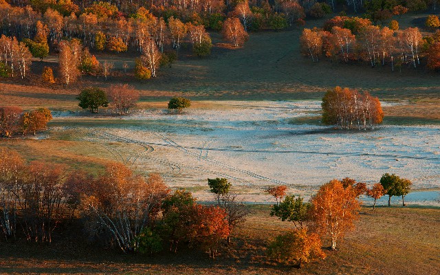拼多多补单软件