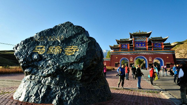 拼多多补单软件