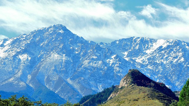 拼多多补单软件